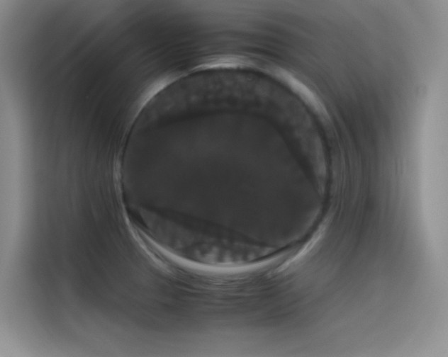 X0000114621329200910201125