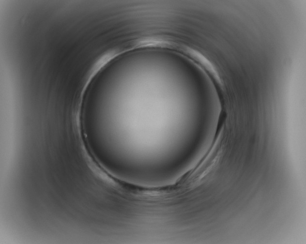 X0000114621330200910201125