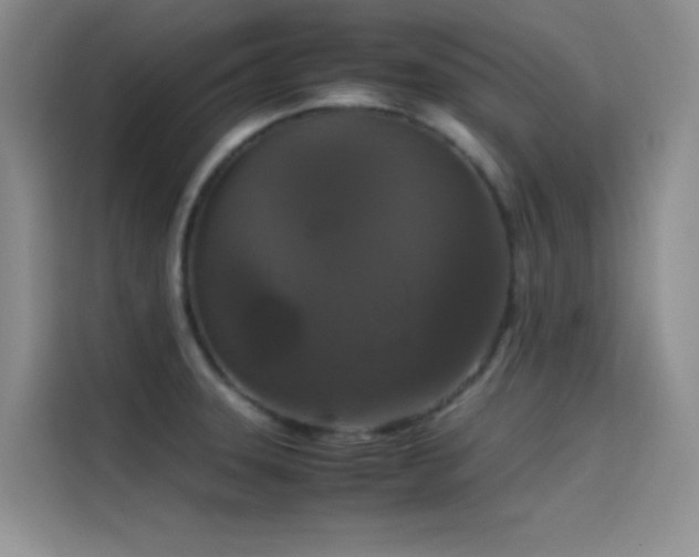 X0000114621331200910201125