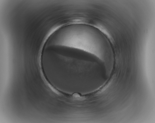 X0000114621333200910201125