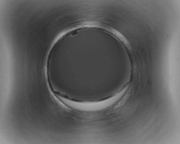 X0000114621334200910201125