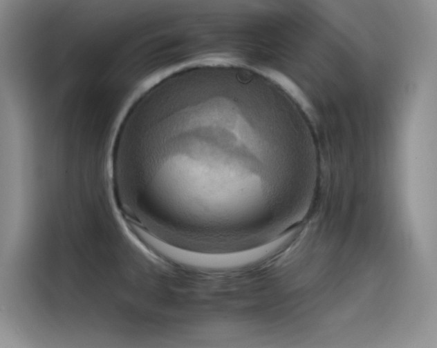 X0000114621335200910201125
