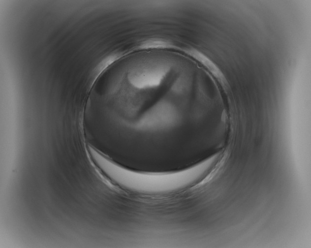 X0000114621337200910201125