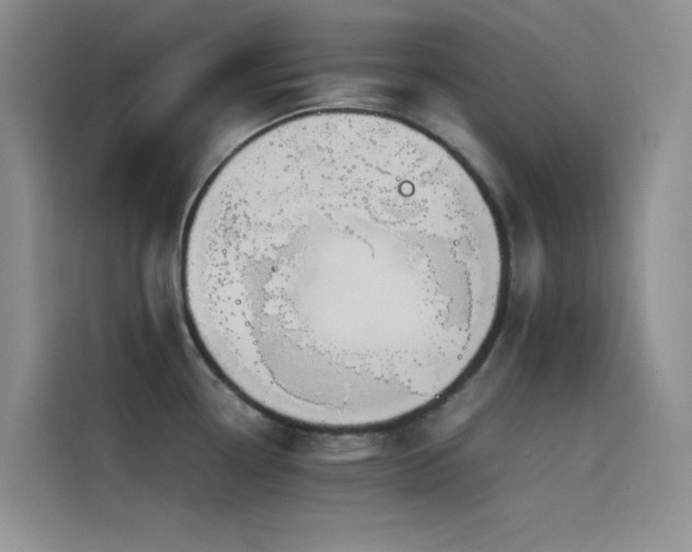 X0000114621338200910201125
