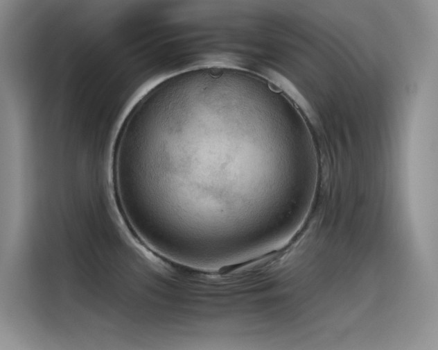 X0000114621339200910201125