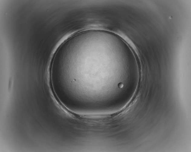 X0000114621341200910201125