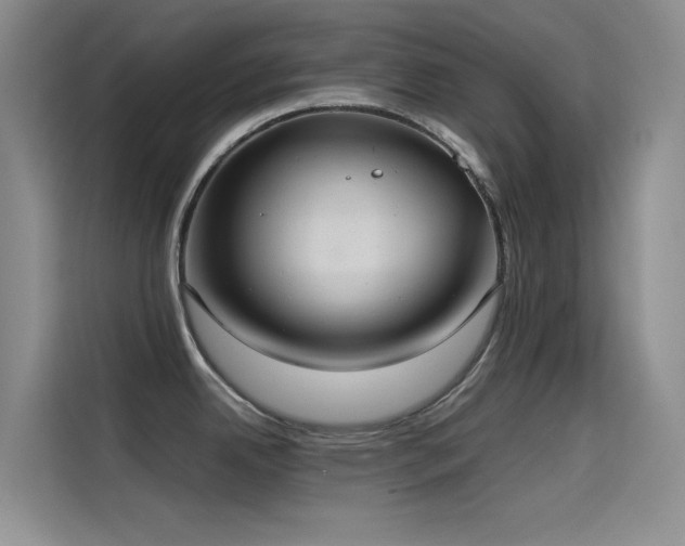 X0000114621342200910201125