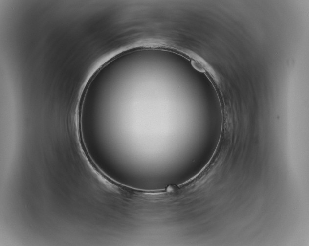 X0000114621343200910201125