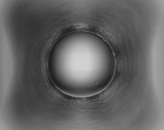 X0000114621345200910201124