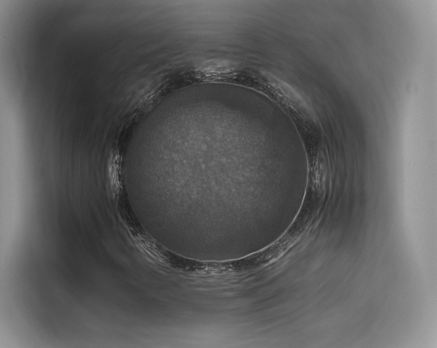 X0000114621346200910201124