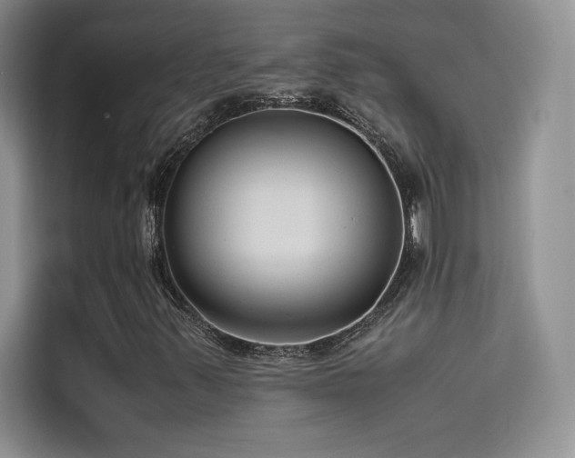 X0000114621347200910201124