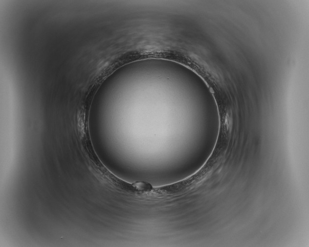 X0000114621348200910201124