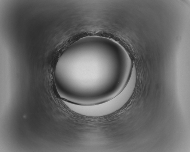X0000114621349200910201124