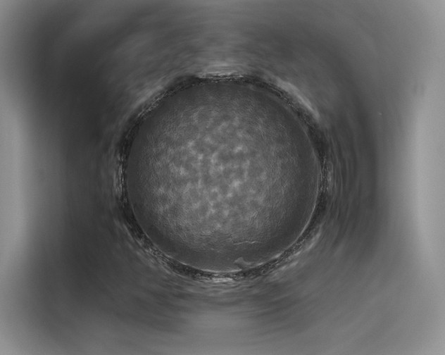 X0000114621350200910201124