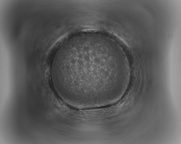 X0000114621351200910201124