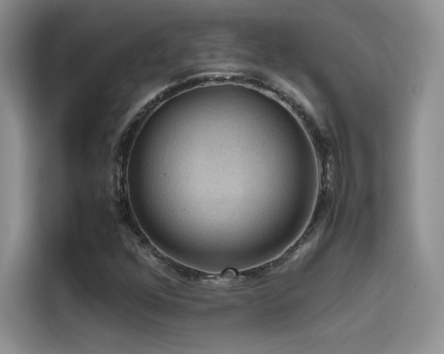 X0000114621352200910201124