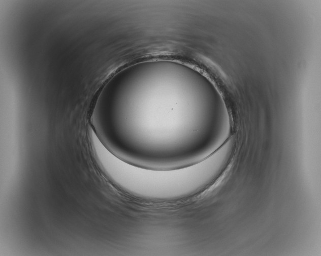 X0000114621353200910201124