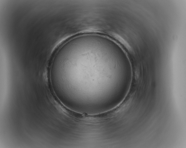 X0000114621356200910201124