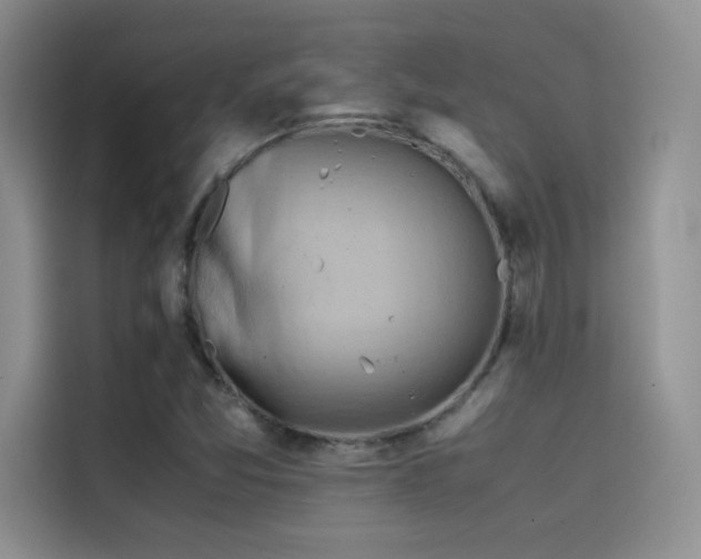 X0000114621357200910201124