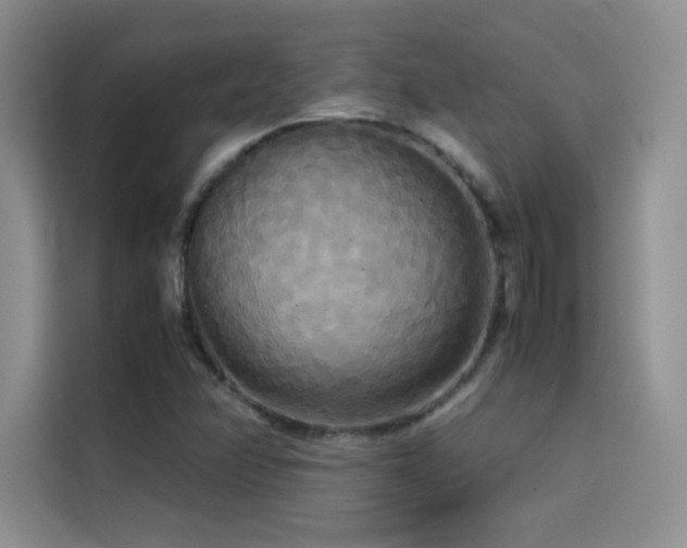 X0000114621358200910201124
