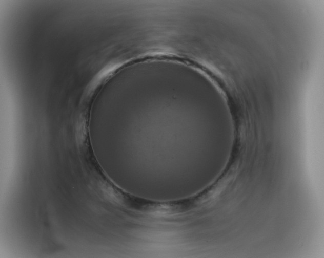 X0000114621359200910201124