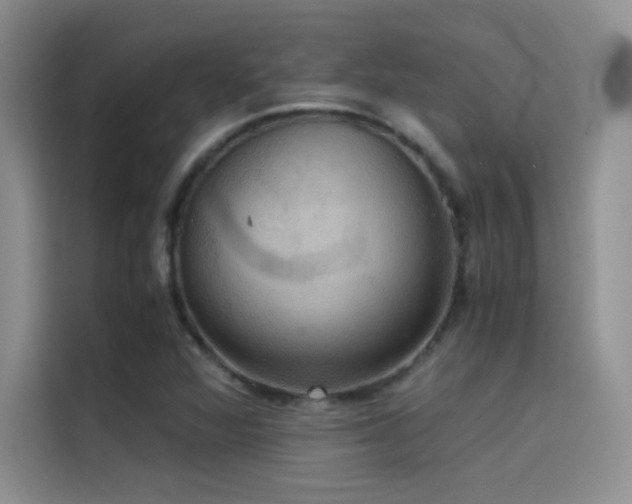 X0000114621360200910201124