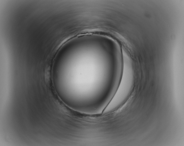 X0000114621361200910201124