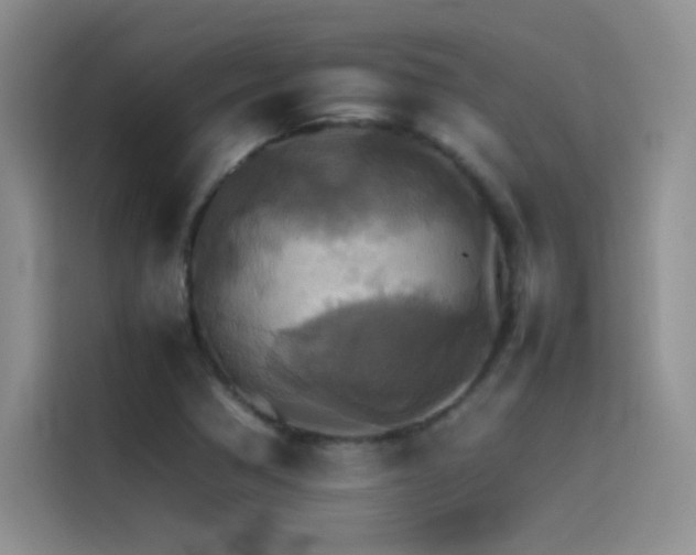X0000114621362200910201124