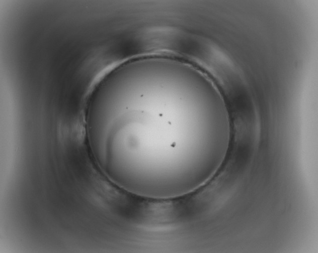 X0000114621363200910201124