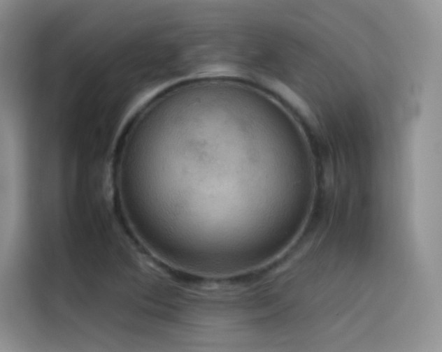 X0000114621364200910201124