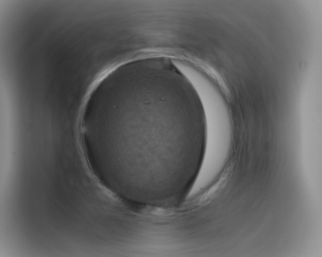 X0000114621365200910201124