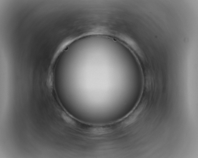 X0000114621366200910201124