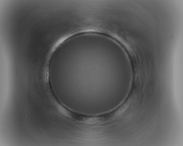 X0000114621367200910201124