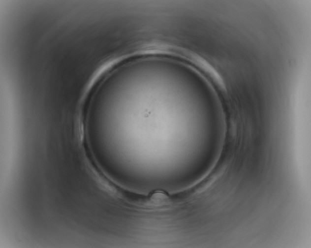 X0000114621368200910201124