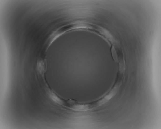 X0000114621369200910201124