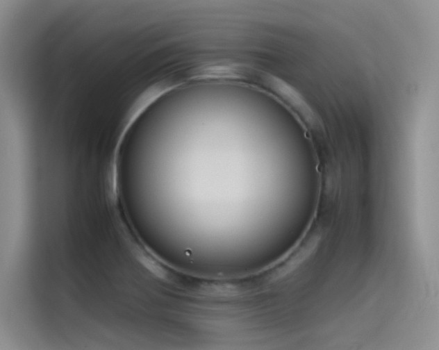 X0000114621370200910201124