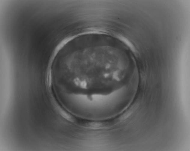 X0000114621371200910201124