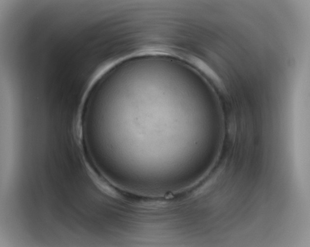 X0000114621372200910201124