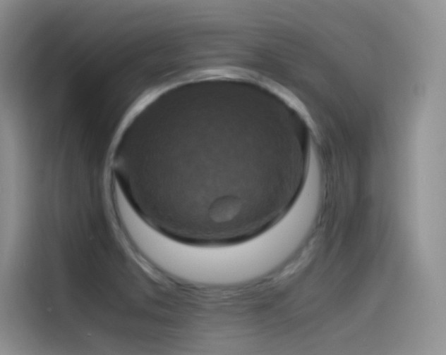 X0000114621373200910201124