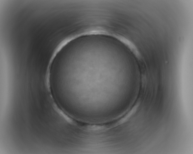 X0000114621374200910201124
