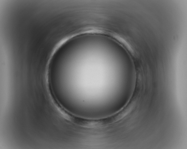 X0000114621375200910201124