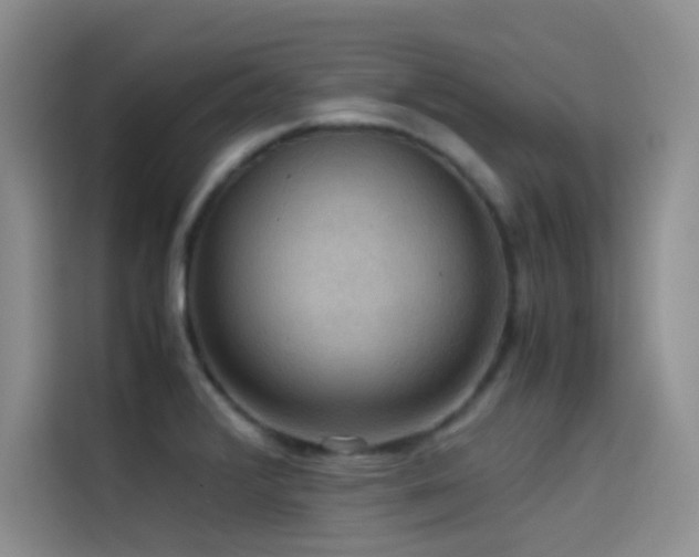 X0000114621376200910201124