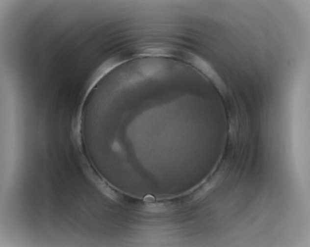 X0000114621378200910201124