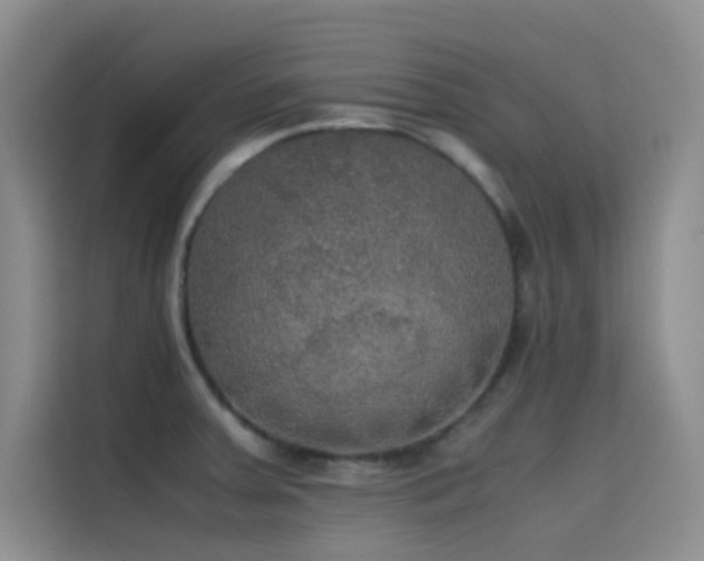 X0000114621379200910201124