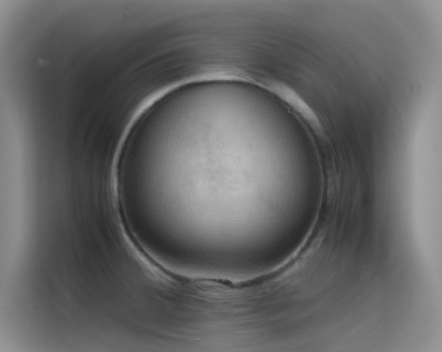 X0000114621380200910201124