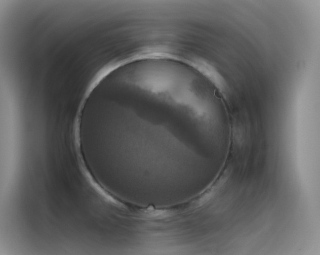 X0000114621382200910201124