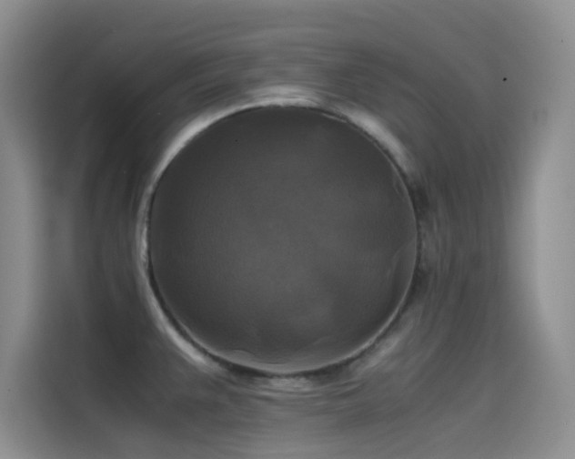 X0000114621383200910201124
