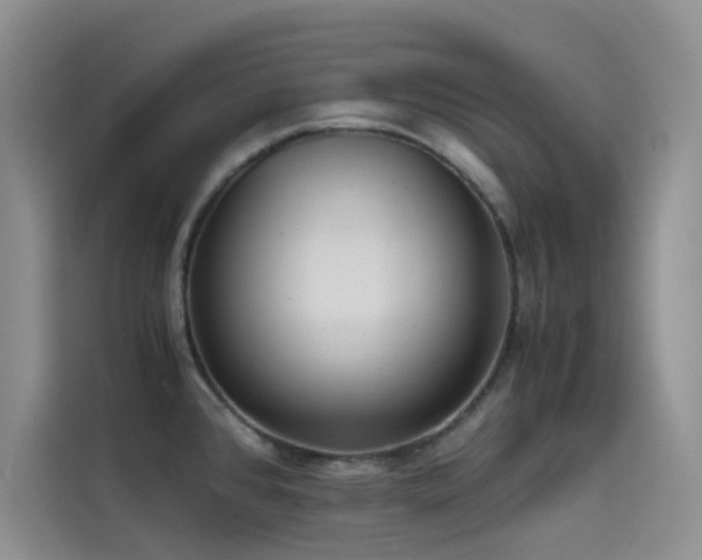 X0000114621384200910201124