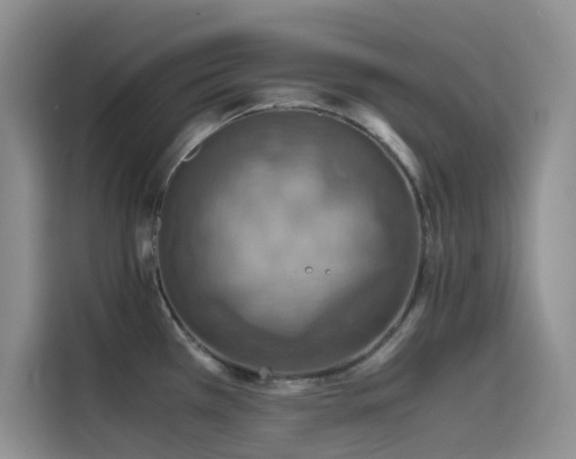 X0000114621385200910201124