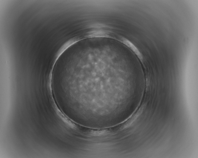 X0000114621386200910201124